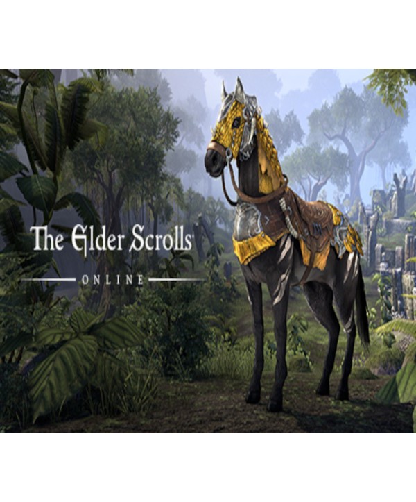The Elder Scrolls Online - Dragon Slayer Mount DLC Xbox Series X|S Xbox Series X|S Key 